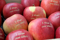 Äpfel liegen in einem Korb und haben den Schriftzug die fünf Wege zum Glück